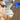 Top Gun Sunglasses vs. Wayfarers