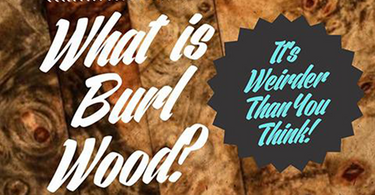 What is Burl Wood? It's Weirder Than You Think!