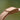 rose gold watch band