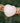 pink rose quartz bracelet