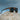 Fjorn Zebrawood Carbon Men's Wooden Sunglasses