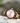 Emma Walnut Melrose Women's Wooden Watch