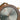 Constance Walnut Rose Gold Women's Stainless Steel Wooden Watch