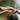 Heritage Zebrawood Carbon RX Men's Wooden Sunglasses