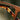 Forge Walnut blue light wood-glasses