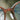 Mist Walnut Burl blue light wood glasses