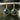 Gold and dark blue natural apatite stone earrings