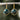 Gold and dark blue natural apatite stone earrings 