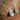Amazonite stone earrings