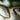 blue light glasses for men