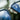 Napa Blue Skateboard blue light wood glasses