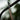 Everest Walnut Carbon RX Men's Wooden Sunglasses