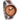 redwood watch