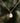 Gold teardrop necklace