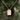Gold plated natural rose quartz stone rectangle shaped necklace