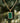 18k gold plated necklace with green malachite pattern rectangle pendant