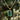 18k gold plated necklace with green malachite pattern rectangle pendant