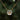 Green and gold malachite stone cable chain hexagon pendant necklace