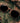 Everest Walnut Carbon RX Men's Wooden Sunglasses