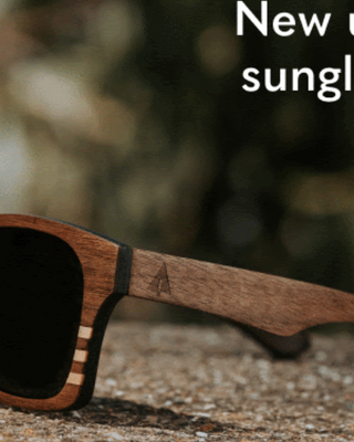 Treehut Spring Sunglasses Collection