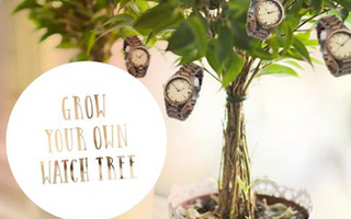 DIY: Grow Your Own Watch Tree