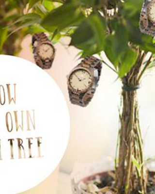 DIY: Grow Your Own Watch Tree