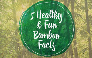 5 Healthy & Fun Bamboo Facts