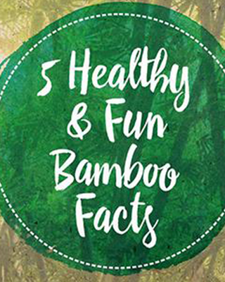 5 Healthy & Fun Bamboo Facts
