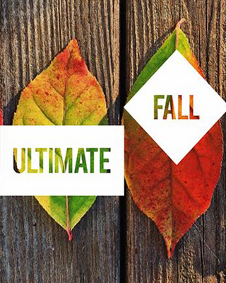 The Ultimate Fall Playlist According to Treehut.co