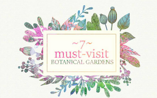 7 Must-Visit Botanical Gardens for a Romantic Outing