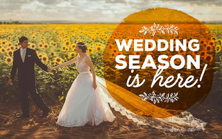 Wedding Season is Here! Celebrate with Treehut.co