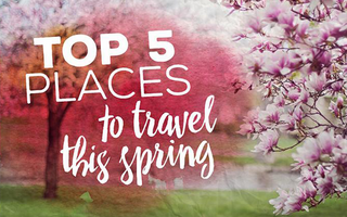 Top 5 Places to Travel This Spring