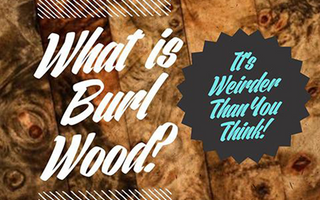 What is Burl Wood? It's Weirder Than You Think!