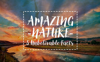 Amazing Nature: 5 Unbelievable Facts