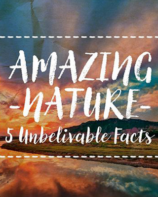 Amazing Nature: 5 Unbelievable Facts