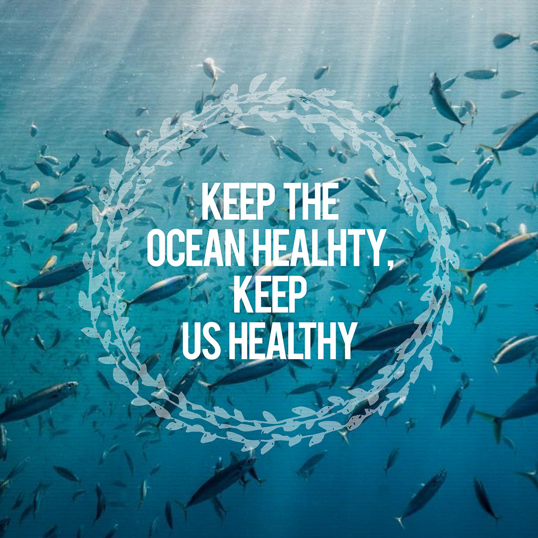 Women Stone And Wood Accessories Treehut women-stone-and-wood-accessories-treehut