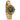 green watch for women