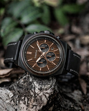 Aster Wenge Schwarzer Kaktus