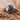 Theory Black Marble Monochrome Women's Wooden Watch
