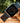 Apple Strap Ebony Blue