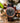 Classic Redwood Ebony Theo Men's Wooden Watch
