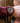 Mission Ebony Bronze Patina Men's Wooden Watch