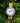 Theory Bamboo White Marble Women's Wooden Watch