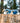 Sailor 78 Men's Wooden Sunglasses