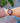 Constance Purple Heart Rose Gold Women's Stainless Steel Wooden Watch