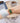 Lola Olive Gold Mesh Green Women's Stainless Steel Wooden Watch