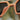 Jord Walnut Men's Wooden Sunglasses