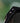 Hendry 41 Men's Wooden Sunglasses