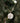 Gold and silver necklace with sun and stars